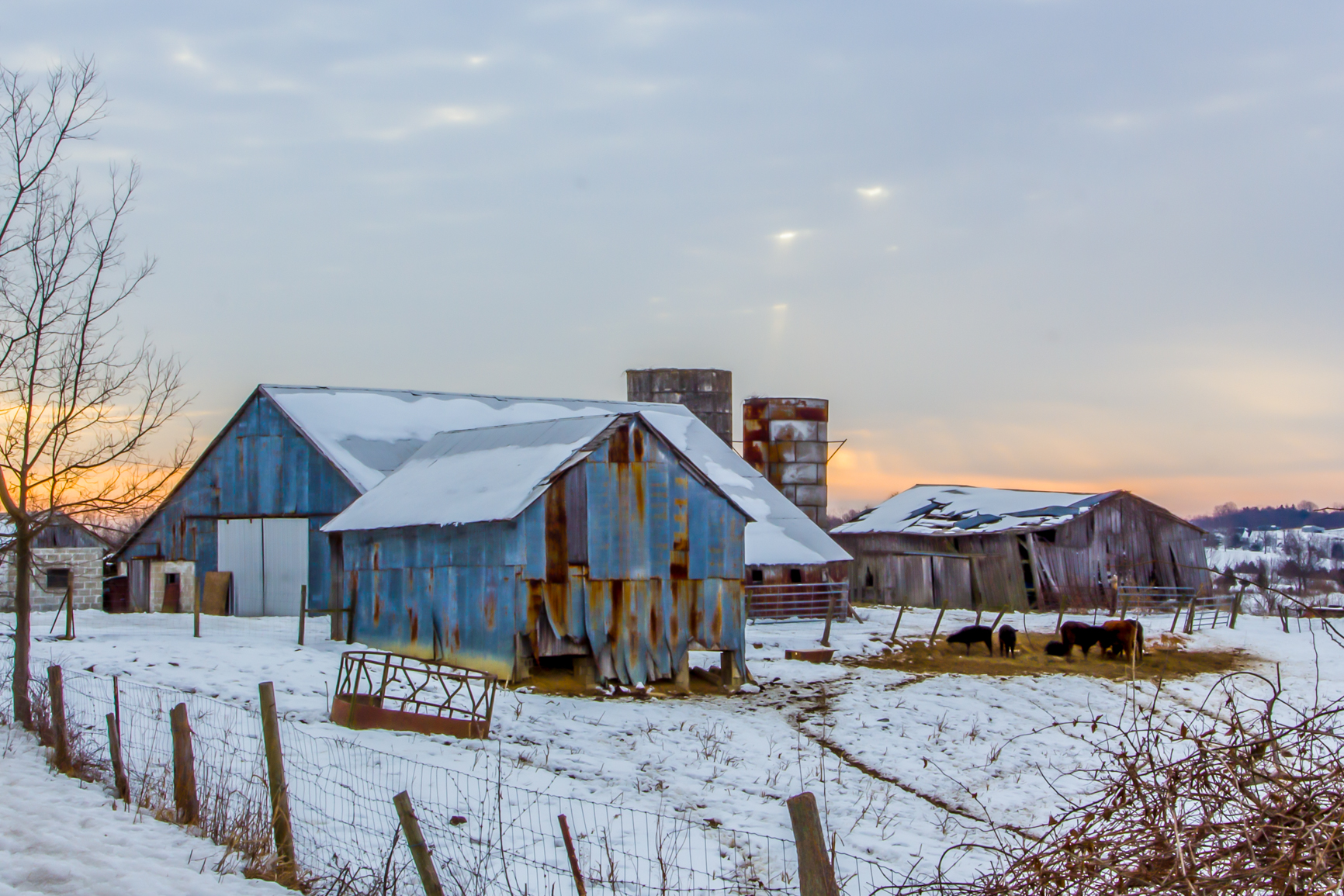 Winter Sunrise On The Farm | Shutterbug